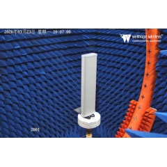 LoRaWAN 5G meerdere antennes