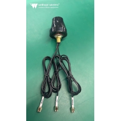 Outdoor Automotive WLAN-antenne WH-4G-2.4-GPS-D2 